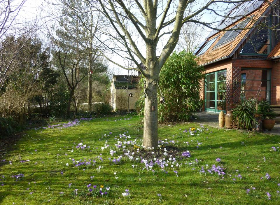 Ökologisch nachhaltiges Niedrigenergiehaus - gesund wohnen mit Lehm – Bild 26