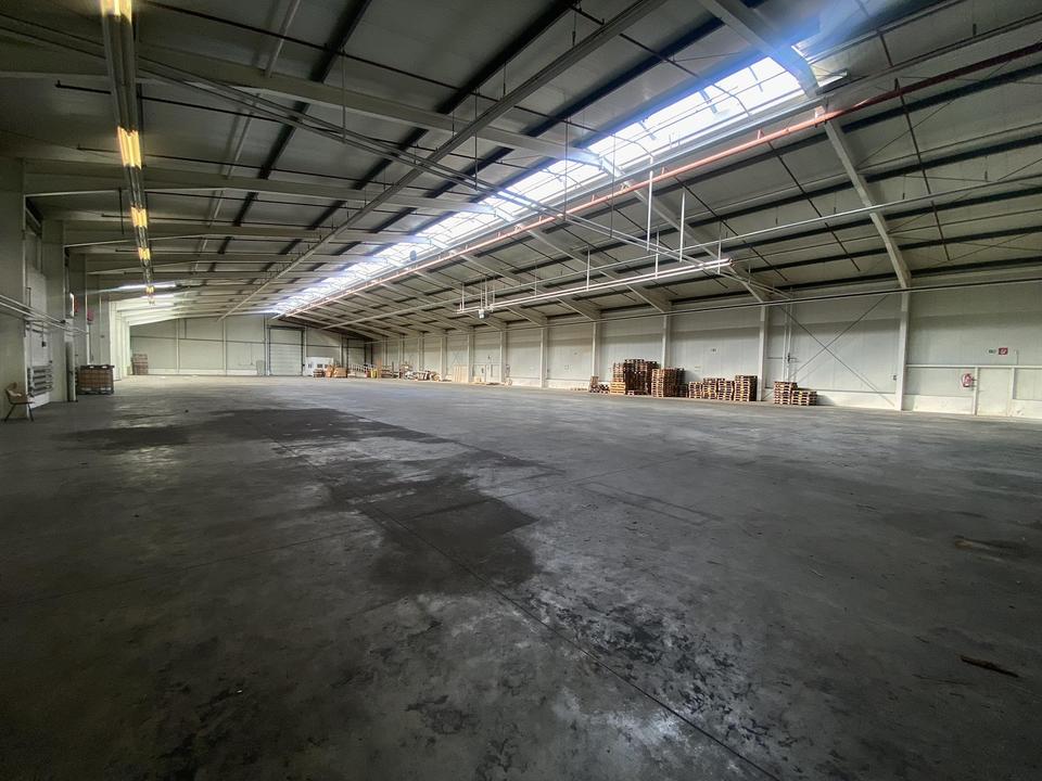Gewerbehalle mit hervorragender Verkehrsanbindung! – Bild 3