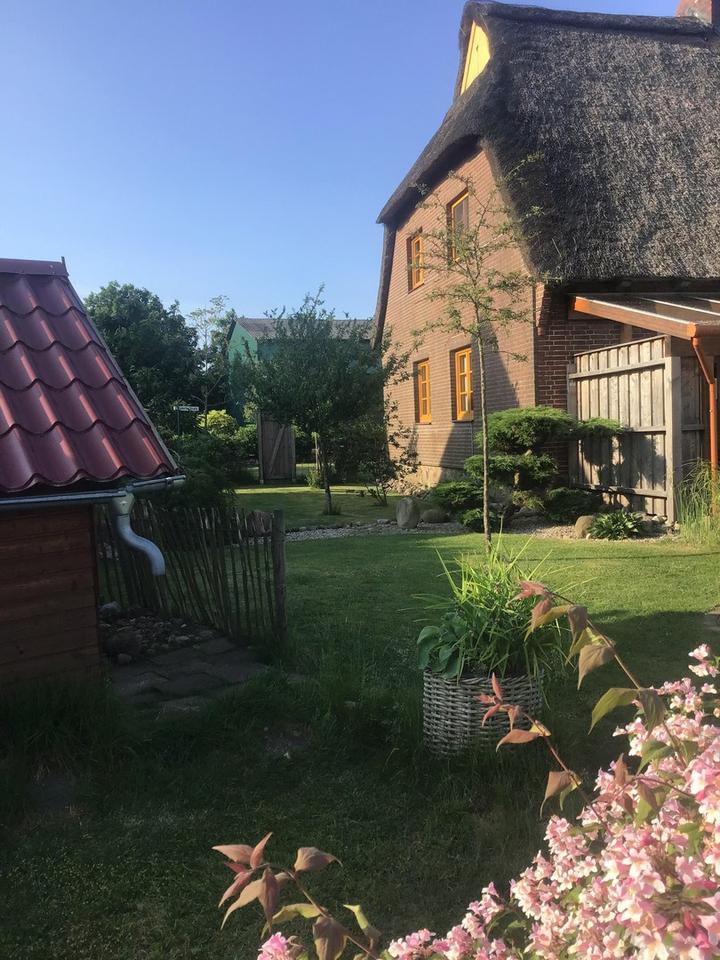 Wunderschönes Reetdachhaus am Naturpark Aukrug! – Bild 10