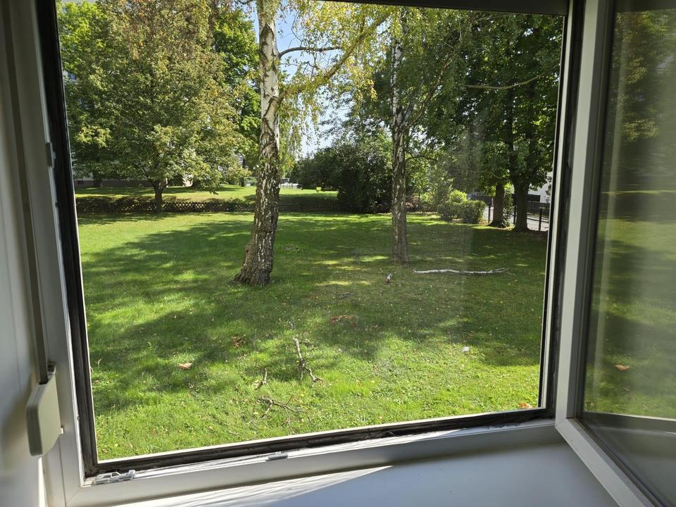 helle und großzügige EG-Wohnung in grüner Umgebung im Herzen von Wolfenbüttel – Bild 12