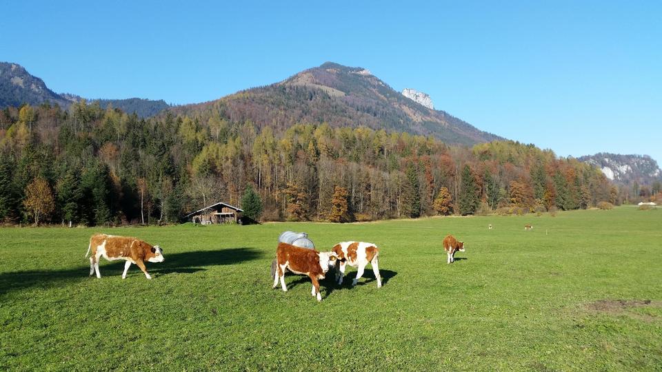 Ihr Ferienhaus im Chiemgau, Natur, Berge, Chiemsee ! Reserviert bis 17.04.2026 ! – Bild 13