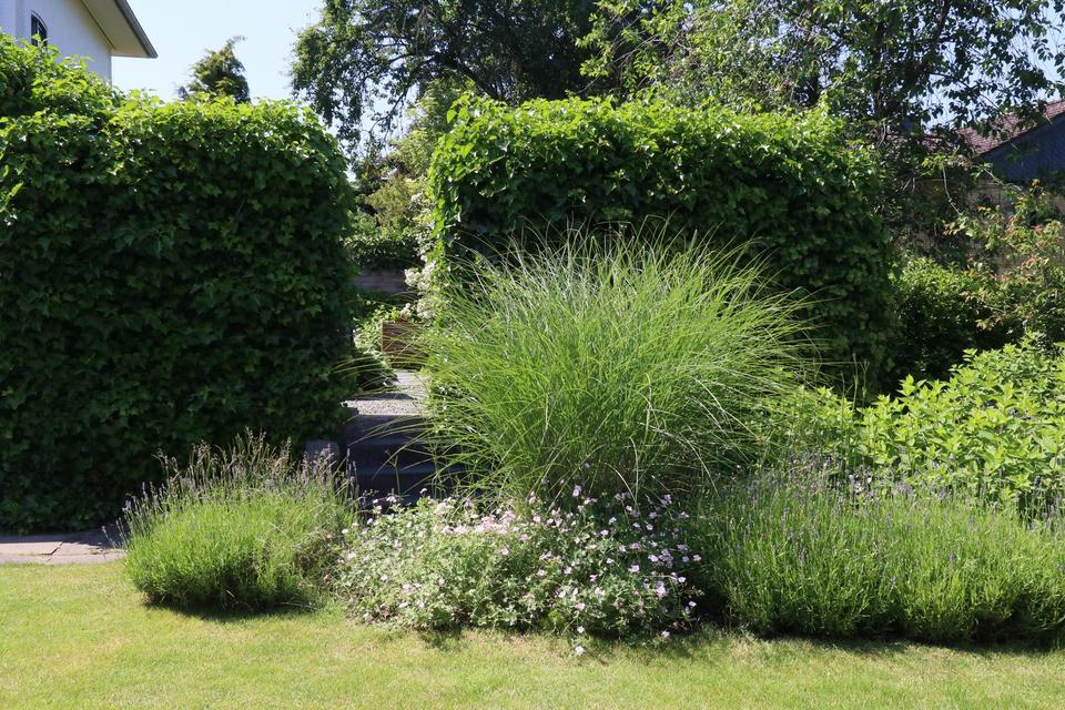 2-Zimmer Loft - Wohnen, wo andere Urlaub machen – Bild 20