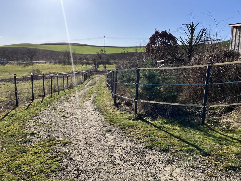Liebevoller Hof mit Weideland nahe Kassel auf 27000qm – Bild 5