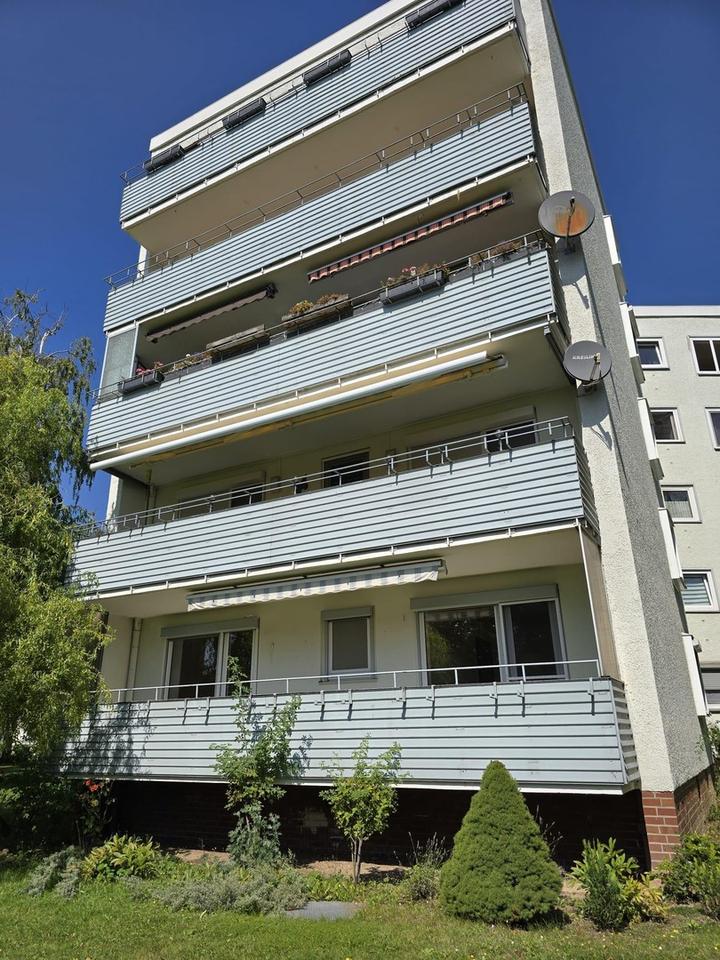 helle und großzügige EG-Wohnung in grüner Umgebung im Herzen von Wolfenbüttel – Bild 3