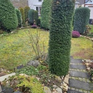 Familienglück mit Potenzial in der Schlossstadt Brühl