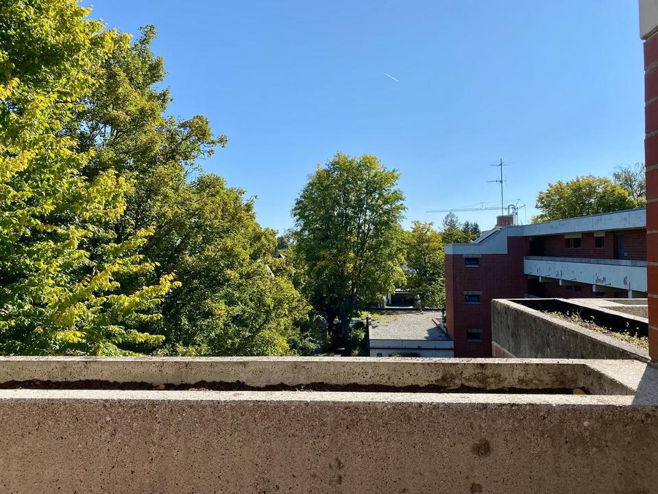 kleines Refugium im Süden Münchens – Bild 12