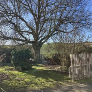 Liebevoller Hof mit Weideland nahe Kassel auf 27000qm