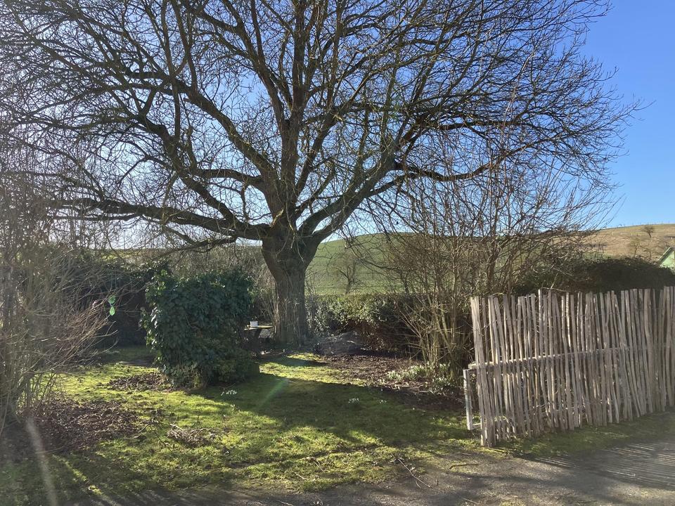 Liebevoller Hof mit Weideland nahe Kassel auf 27000qm