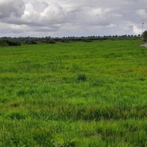 Baugrundstücke in Drochtersen