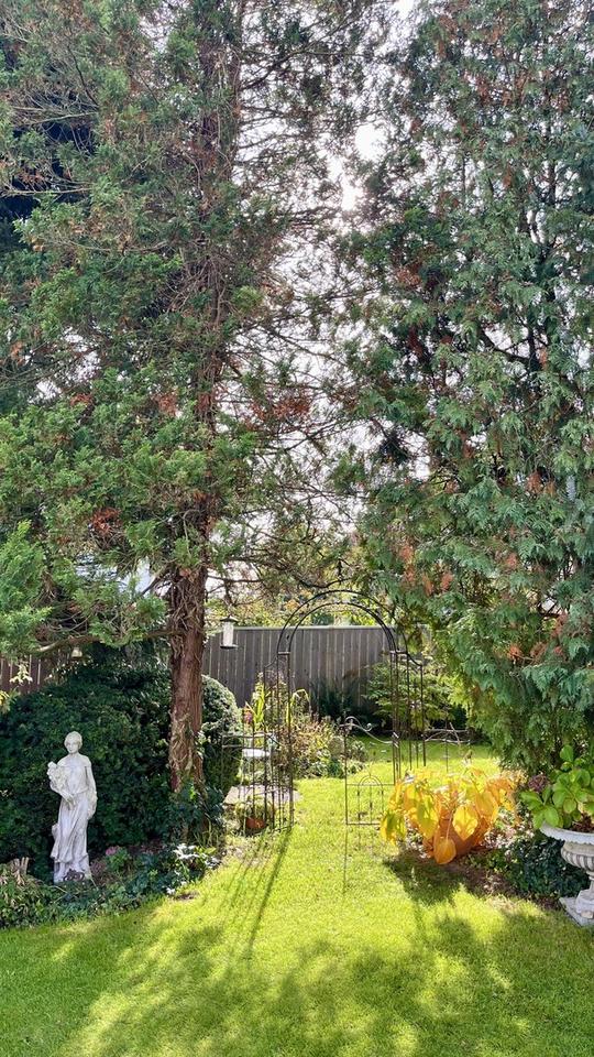 Kernsaniertes Wohlfühlhaus mit herrlichem Garten in Bestlage – Bild 3