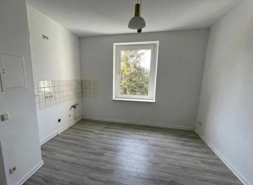 Charmante 1-Zimmer-Wohnung in Hochschulnähe in Krefeld – mit neuer Einbauküche – Bild 3