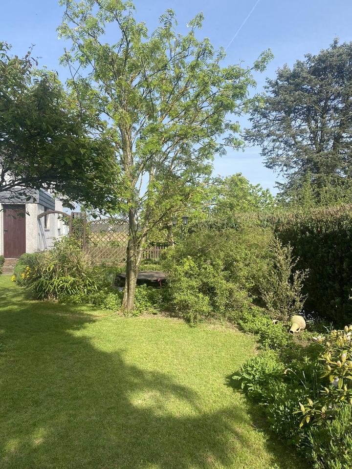 Top gepflegtes, freistehendes Ein- bis Zweifamilienhaus – Bild 31