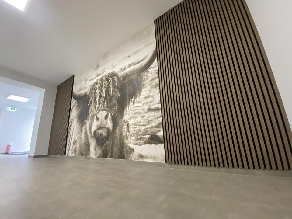 58 m² - Effizienzhaus - Erstbezug - Balkon - Aufzug - Sauna - Luftkurort - Rothaargebirge – Bild 9