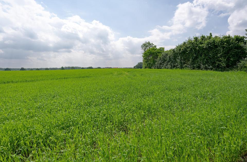 Landhaus der besonderen Art – Bild 7