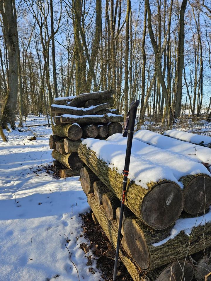 Weide, Wald und Wintergarten - Ein Traumhaus unterm Reetdach – Bild 9