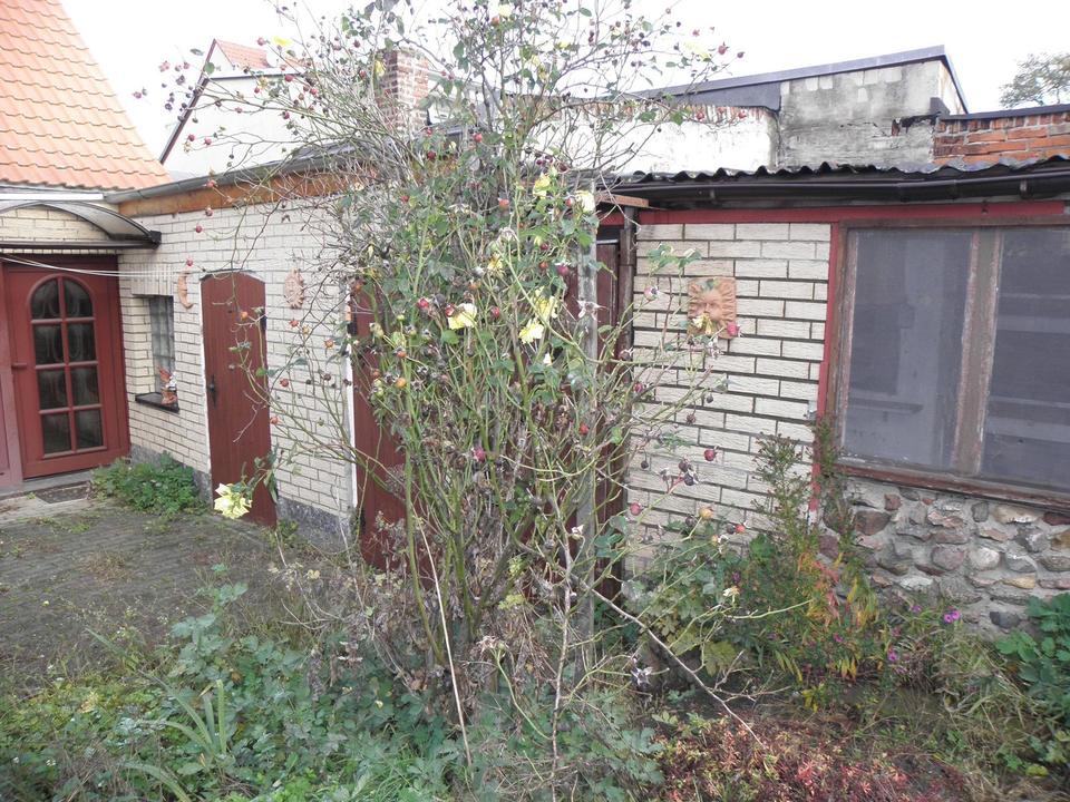 Kleines Einfamilienhaus in Magdeburg Westerhüsen – Bild 5