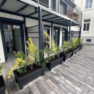 Neuwertige, großzügige 2 Zi. EG-Wohnung im Zentrum