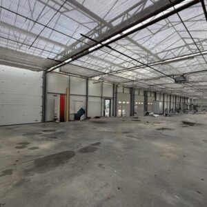 Gewächshaus - Lager ca. 1.500m² zu vermieten