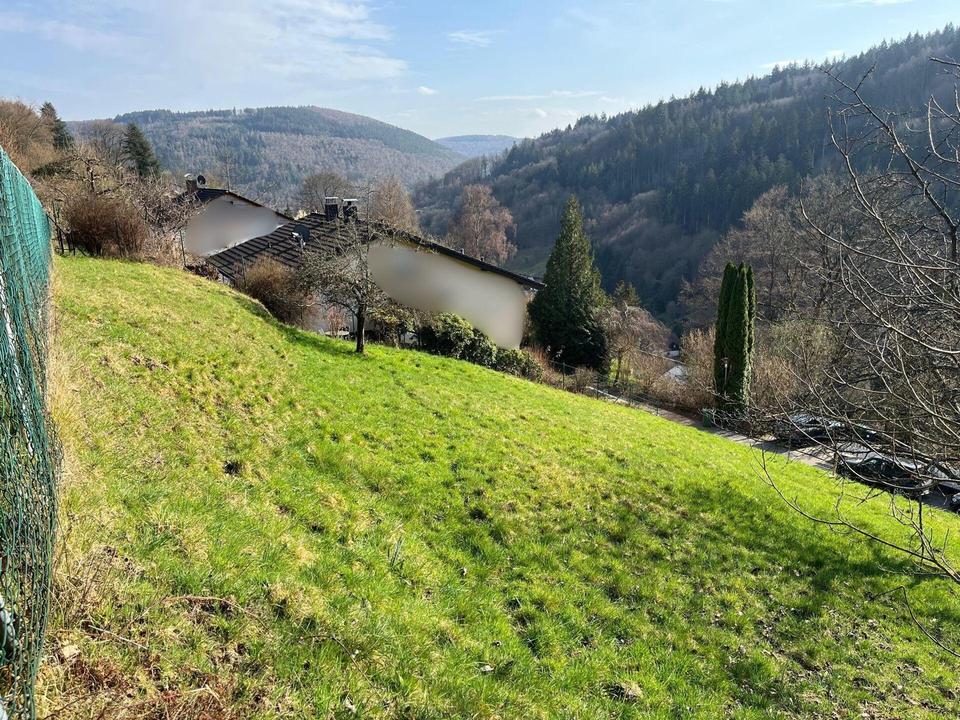 731 m² großes, attraktives und vollerschlossenes Grundstück Schönau - ohne Maklerprovision – Bild 2