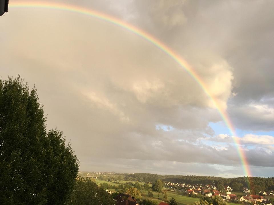 Großzügiges Ein- bis Zweifamilienhaus mt 8.197 qm Grund, PV-Anlage, Wald und Panoramablick – Bild 31