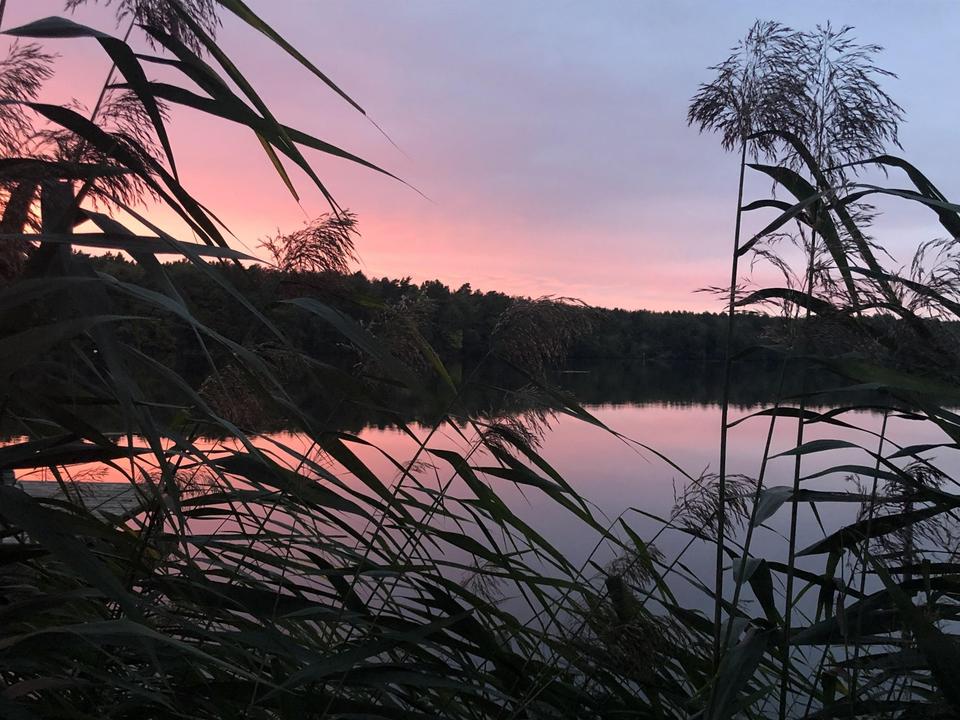 gepflegte Villa mit eig. Seezugang, Steg, Gästehaus, Sauna, Designmobiliar nahe Berlin – Bild 24