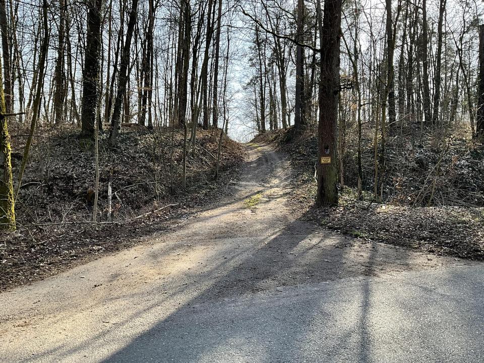 Großzügiges Ein- bis Zweifamilienhaus mt 8.197 qm Grund, PV-Anlage, Wald und Panoramablick – Bild 4