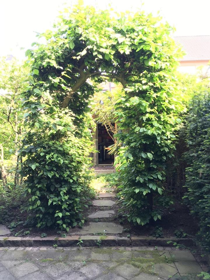 Stadtwohnung mit Garten, Garage und Wellnessbereich – Bild 4