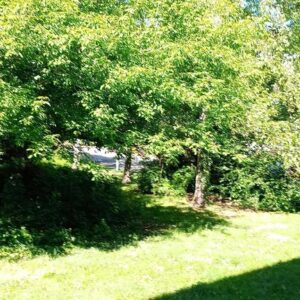 Provisionsfreier Verkauf sanierter Wohnung von privat