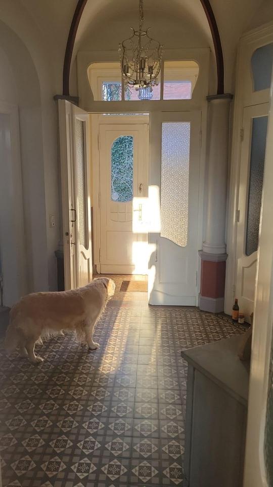 Stilvolle Jugendstilvilla mit Parkblick in Itzehoe – Bild 14