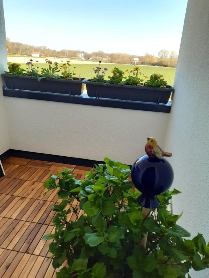 Moderne große Maisonettewohnung mit umlaufender Dachterrasse und zwei Balkonen – Bild 6