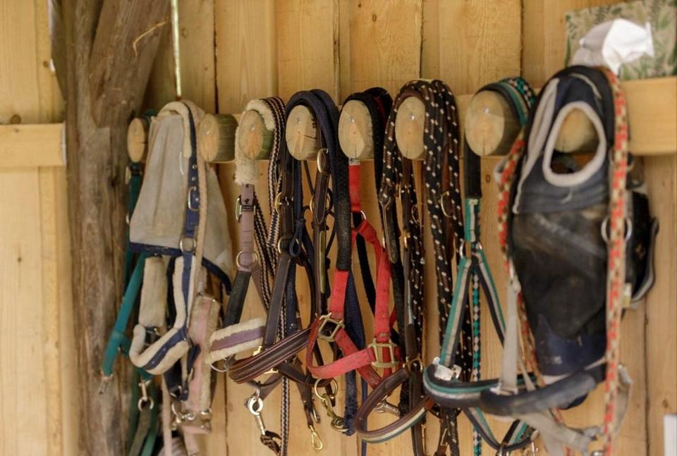 Arrondiertes Landgut mit vielseitigen Nutzungsperspektiven – Bild 13