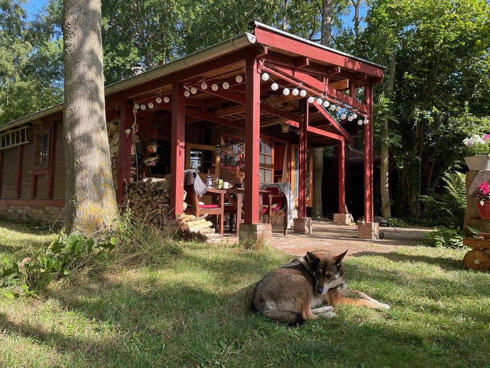 Großes Feriengrundstück auf Rügen mit Bungalow, Gästebungalow und Werkstatt – 650 m² Bauland – Bild 4