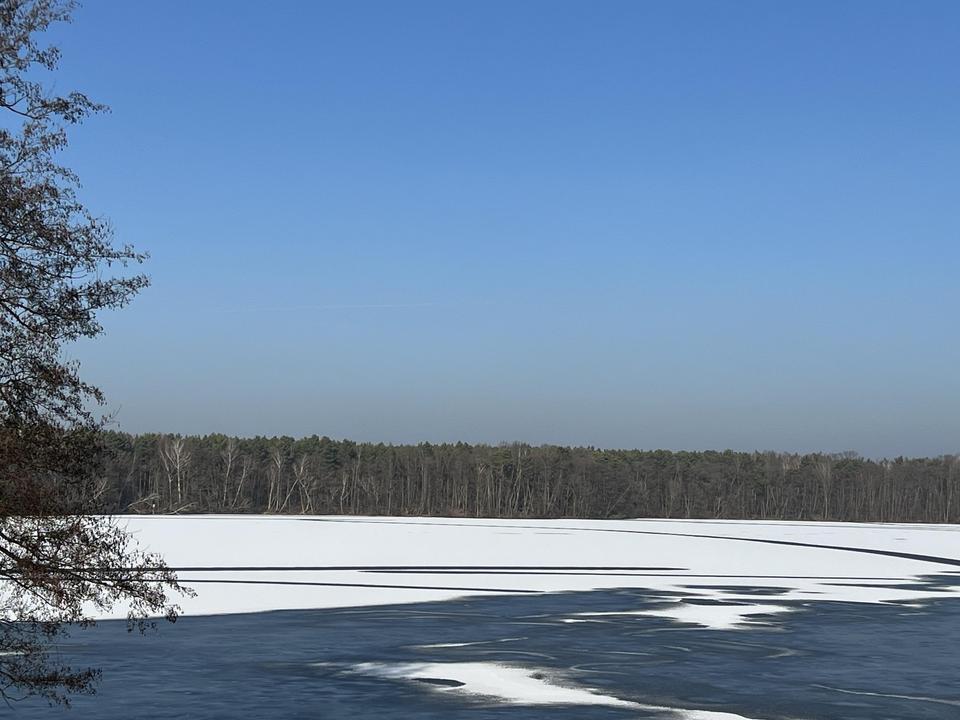 gepflegte Villa mit eig. Seezugang, Steg, Gästehaus, Sauna, Designmobiliar nahe Berlin – Bild 15