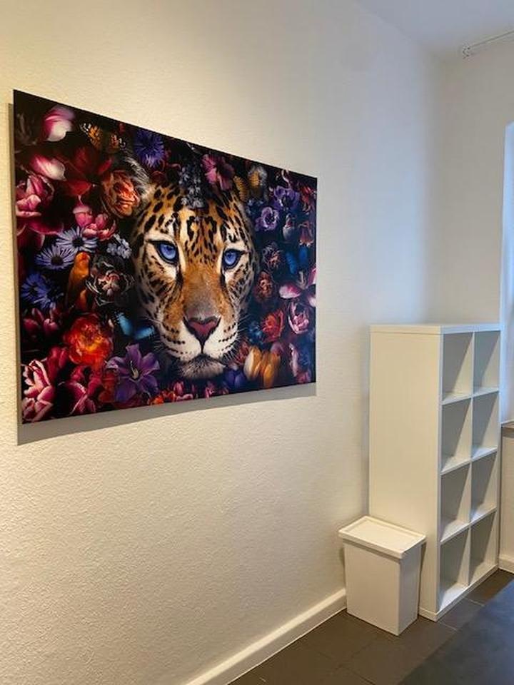 Ab 1.5. - großes modern möbliertes WG-Zimmer in Düsseldorf-Benrath – Bild 5