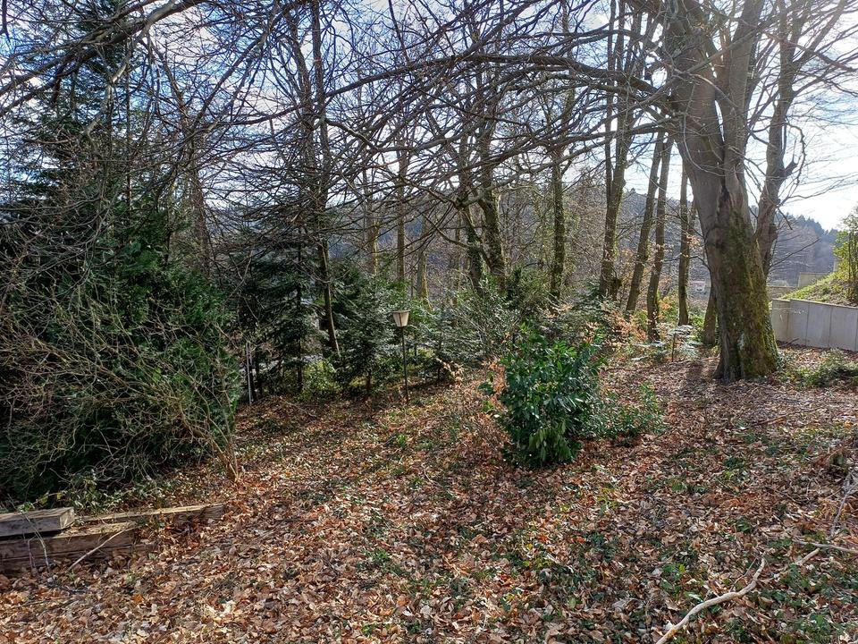 Projektiertes Baugrundstück in bester Lage von Wilhelmsfeld – Bild 2