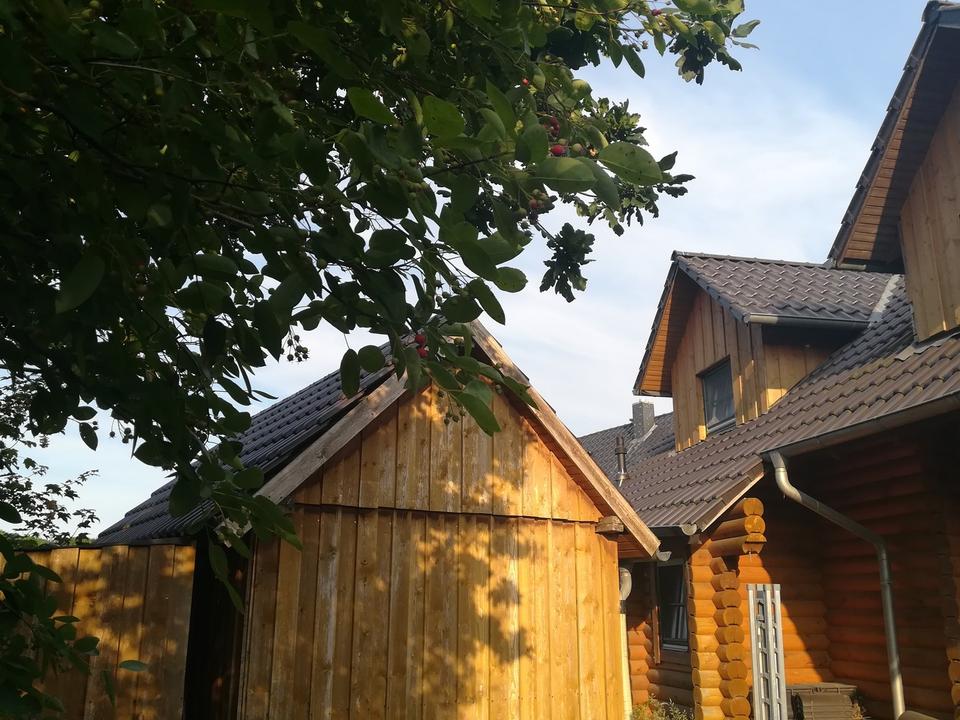 Blockbohlenholzhaus zum Wohlfühlen – Bild 16