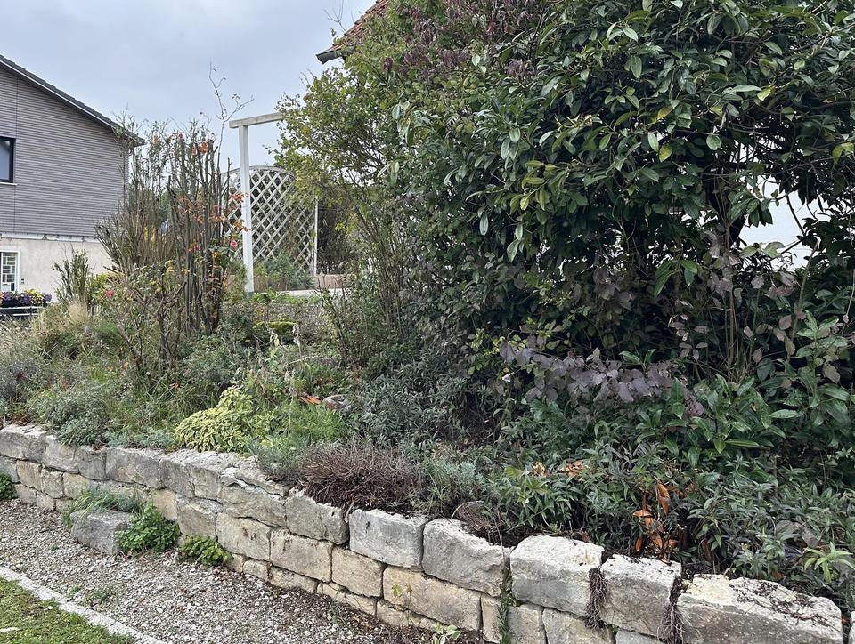 Geräumiges Einfamilienhaus mit schönem Naturgarten und Einzelgarage – Bild 37