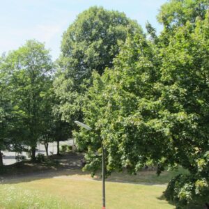 Alfter/Bonn *Wohlfühlwohnung* Aufzug!* SW-Loggia *Stellplatz* Barrierearm*renoviert!