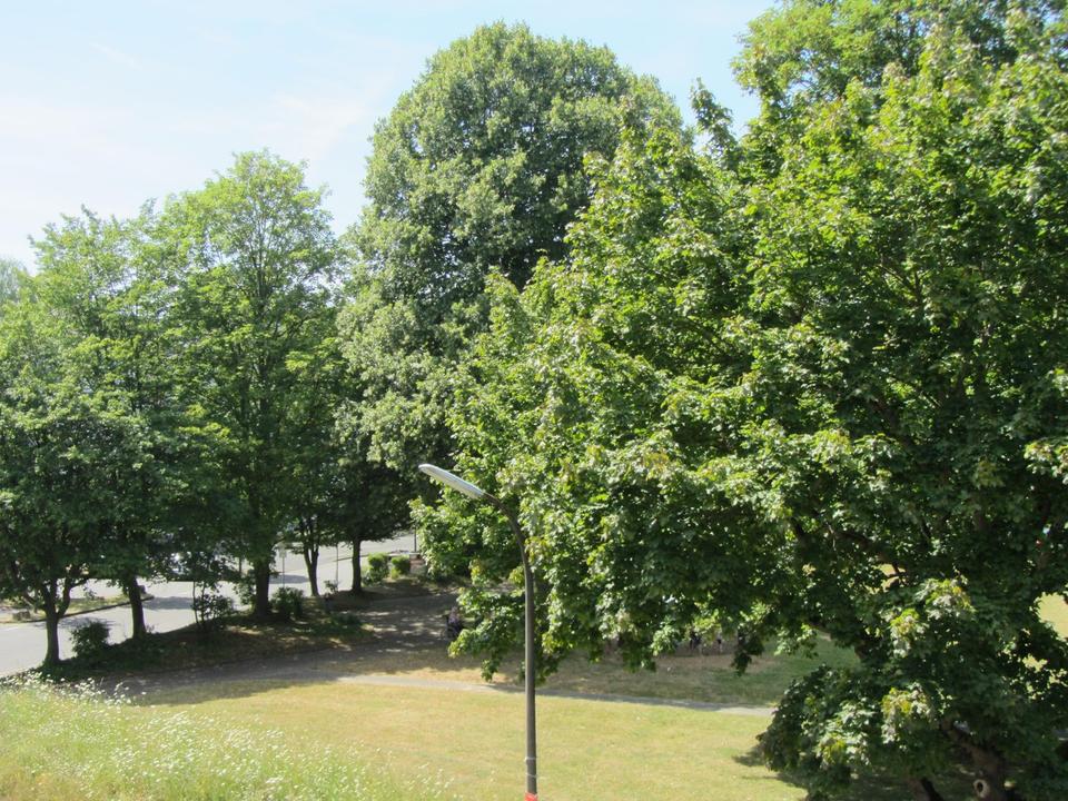 Alfter/Bonn *Wohlfühlwohnung* Aufzug!* SW-Loggia *Stellplatz* Barrierearm*renoviert!