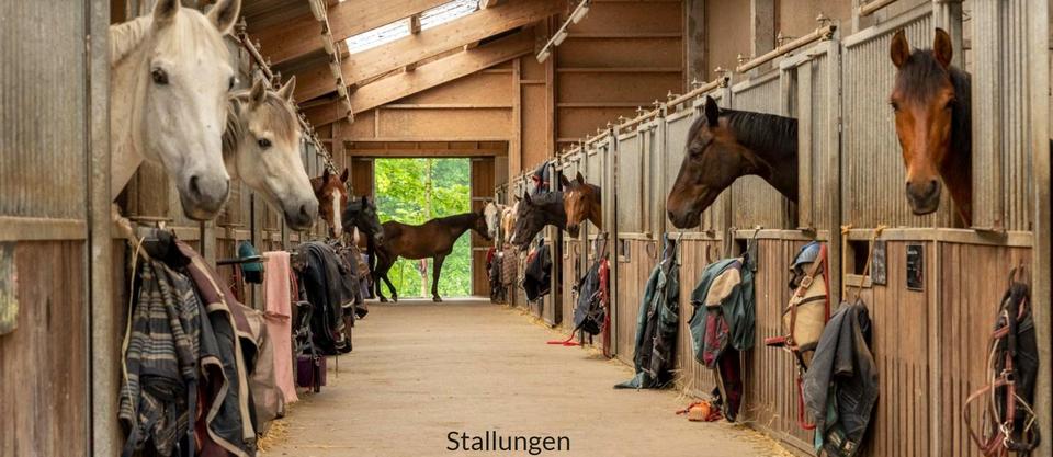 Arrondiertes Landgut mit vielseitigen Nutzungsperspektiven – Bild 15