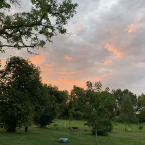 NICHT AMELSBÜREN; MÜNSTER !! Wohnen im Grünen und doch zentral- 190 qm 1.OG 3 Schlafzimmer Balkon