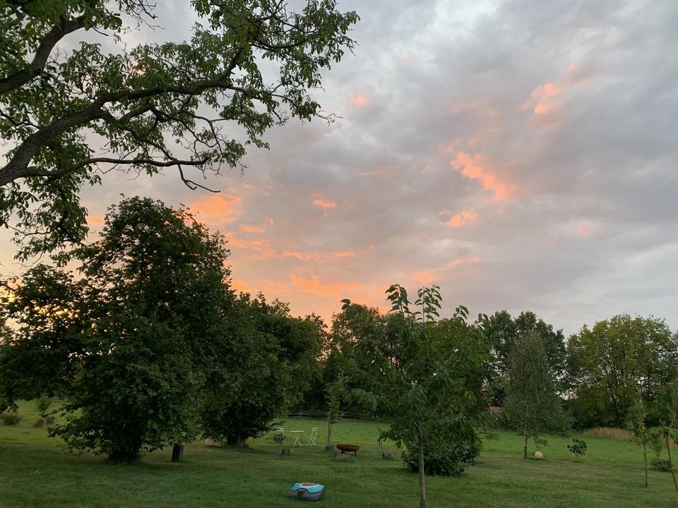 NICHT AMELSBÜREN; MÜNSTER !! Wohnen im Grünen und doch zentral- 190 qm 1.OG 3 Schlafzimmer Balkon