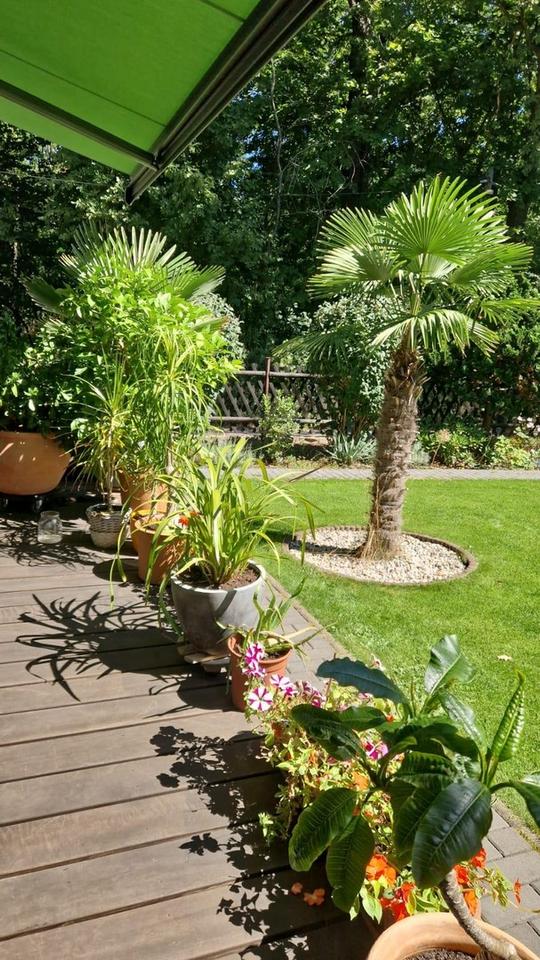 Herrlich gelegenes Einfamilienhaus im Grünen – Bild 9