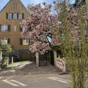 Historische Innenstadtwohnung, Schlossvorstadt, mit Gartenanteil