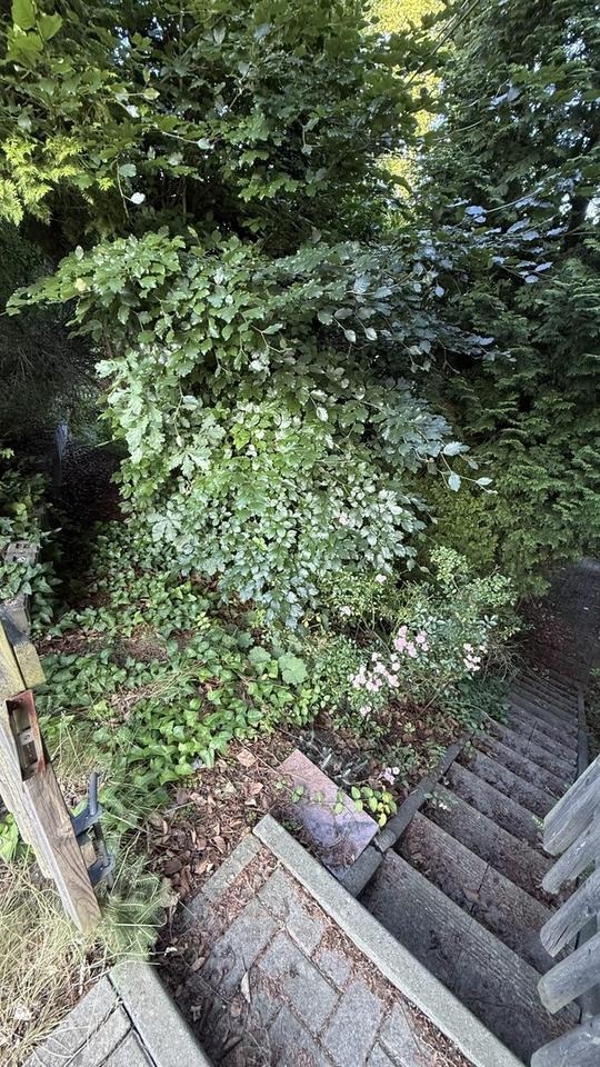 Charmantes Reihenhaus mit Garten in 08280 Aue + Garagen – Bild 16