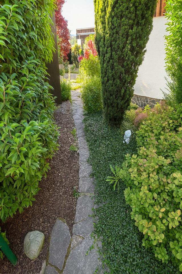 Großzügiges Wohnen auf einer Ebene mit vielseitig nutzbarem Untergeschoss – Bild 5