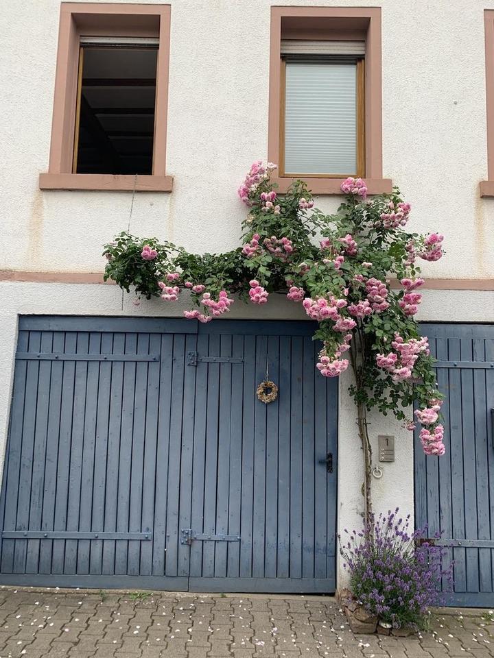 Haus mit zwei Wohneinheiten und einem separaten großen Garten