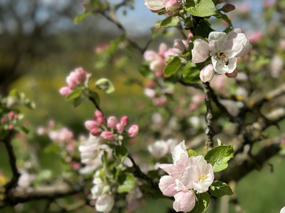 Besonderes Anwesen in Alleinlage mit Bergsicht – voll erschlossen, sofort rentabel, erweiterbar – Bild 2