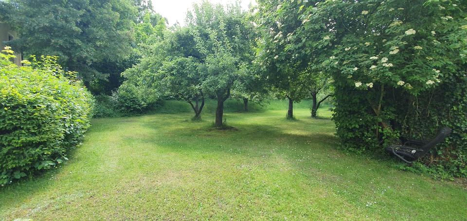 Helle 4-Zimmer Wohnung mit Garten – Bild 15