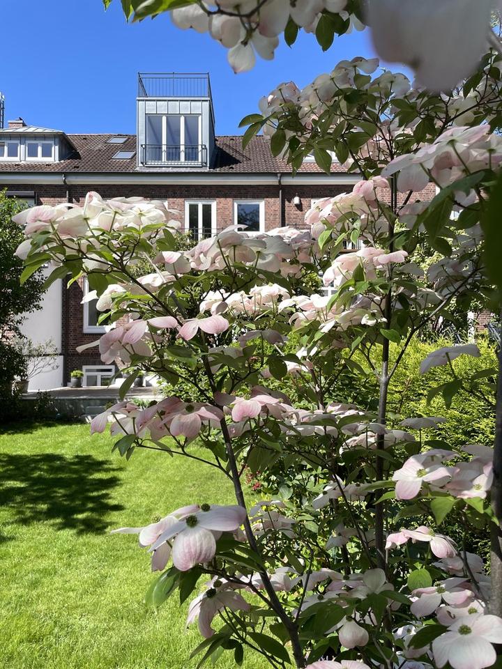 Stadtvilla in Winterhude – Großzügiger Familientraum nahe Stadtpark – Bild 17